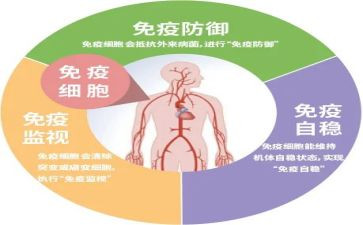 免疫科的工作总结6篇