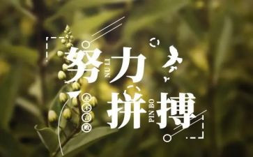 名人传的心得体会100精选8篇