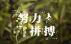 名人传的心得体会100精选8篇