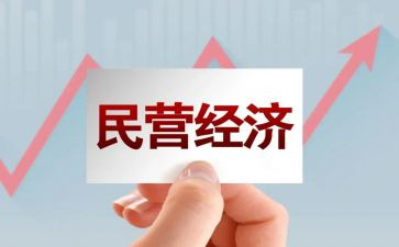 规上民营企业调研报告5篇
