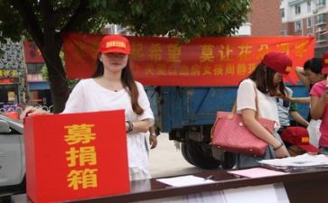 爱心募捐活动总结5篇