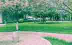 感恩大学母校演讲稿6篇