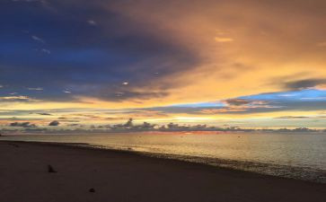 难忘的假期优秀作文7篇