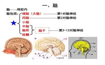 购电脑合同优秀8篇