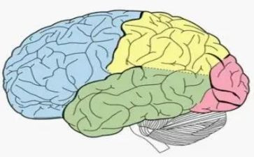 脑外科护士年终述职报告5篇