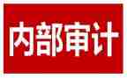 内审科工作总结8篇