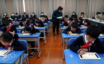 二年级语文教学总结模板6篇