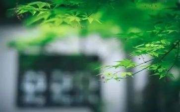 逆境的作文精选6篇