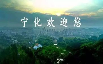 宁化整改报告6篇