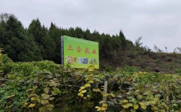 乡镇2024年农产品质量安全工作总结7篇
