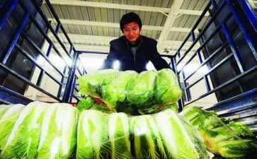 农产品营销调研报告7篇