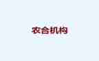 农合资金自查报告5篇