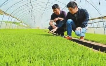 农技术员述职报告5篇