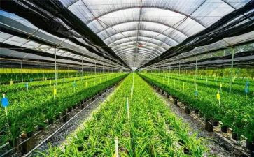 农业银行述职报告2023年8篇