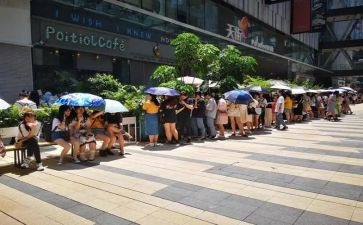 小动物排队教案5篇