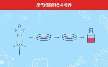 培养班的心得体会模板7篇