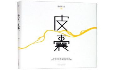 《皮囊》读后感最新6篇