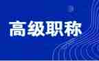 评高级工程师工作总结范文5篇