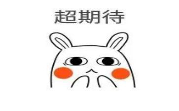 我期待作文300字6篇