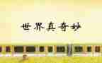 x的奇妙之旅读后感8篇