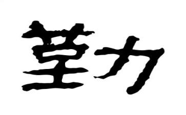 年终后勤个人总结7篇