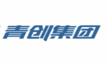 青创社团工作总结模板6篇