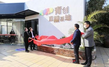 青创社团工作总结7篇
