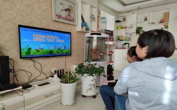 青骄个人总结报告优质7篇