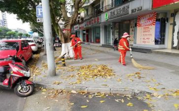 清扫的活动总结6篇