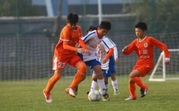 青训调研报告范文推荐5篇