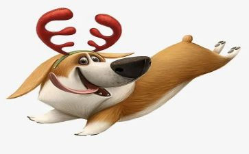 犬只管理自查报告8篇