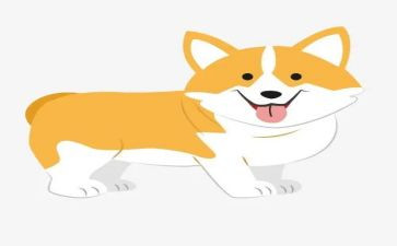 犬只管理工作报告优秀8篇