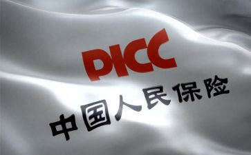 人保财险个人总结5篇