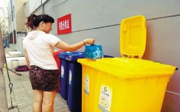 扔垃圾调查报告参考8篇