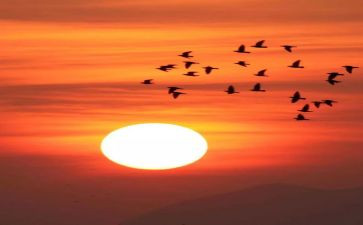 励志人生演讲稿优质8篇