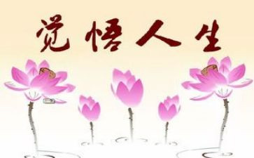 人生感悟的心得体会7篇