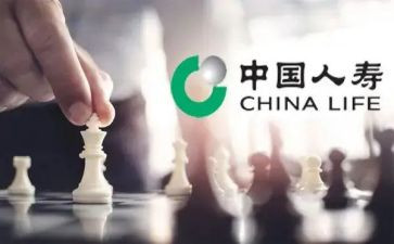 在人寿保险的实习报告5篇