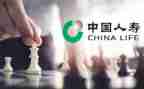 在人寿保险的实习报告5篇