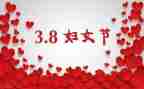 三八感恩活动总结6篇