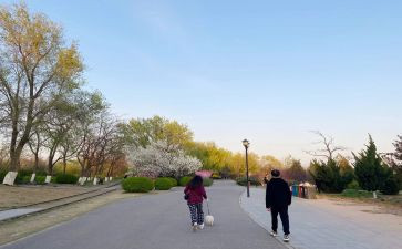 莫怀戚《散步》教案6篇