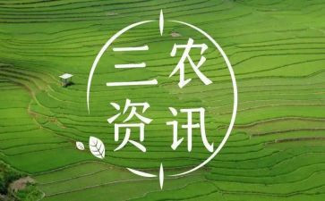 三农问题调查报告7篇