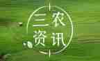 三农问题调查报告7篇