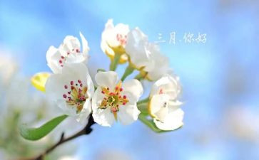 2024年三月工作总结推荐5篇