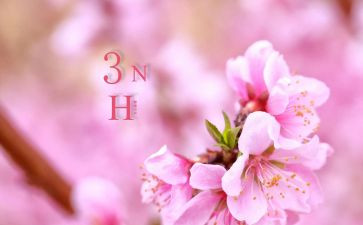 春三月教案模板7篇