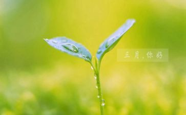 大班三月份工作计划2022精选6篇