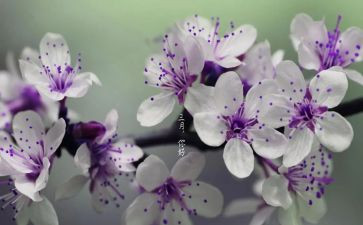 2024中班三月份工作总结6篇