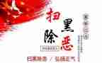扫黑年度工作总结6篇