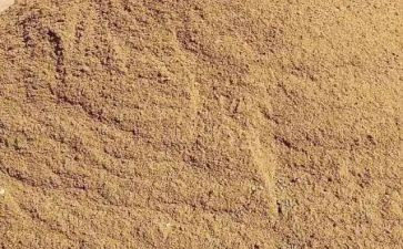 沙盘的心得体会范文5篇