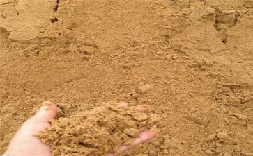 微沙龙活动总结8篇