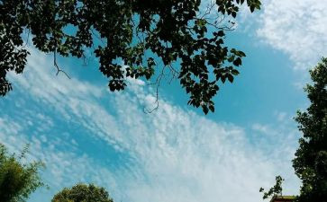 那一首歌,作文模板7篇